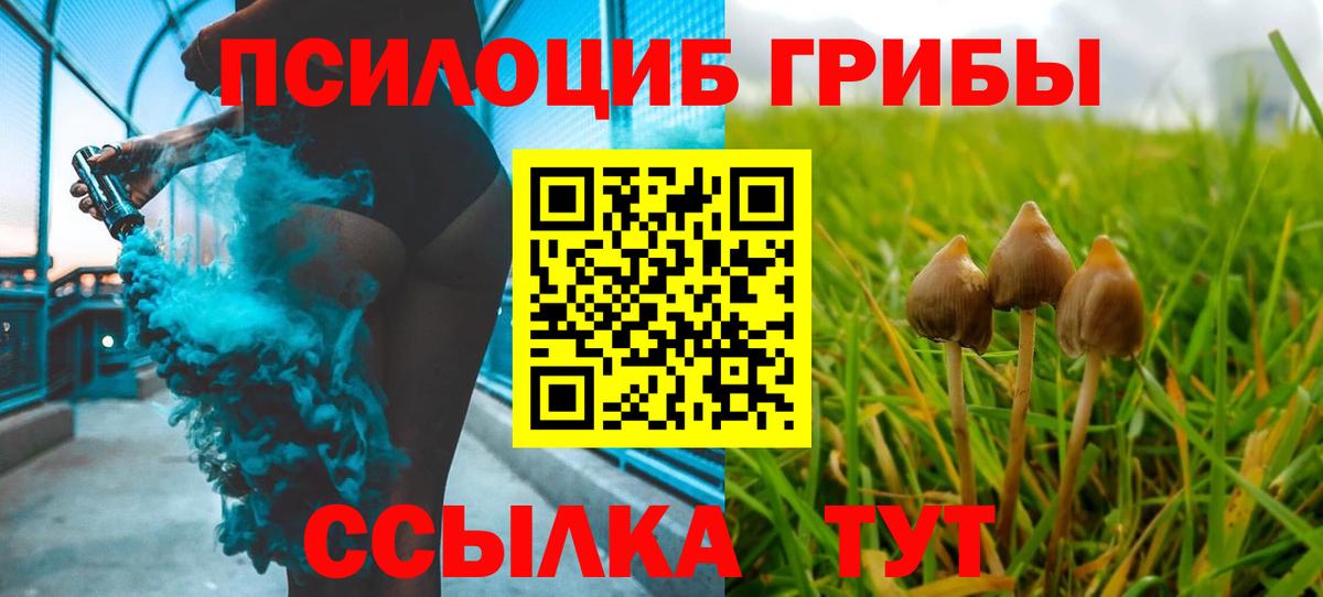 Галлюциногенные грибы прущие грибы Зеленокумск